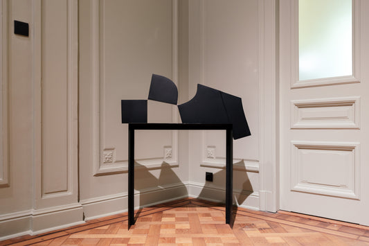 Untitled, 1994/2025(inv. 8648)